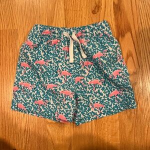 chubbies 3T toddler swim trunks